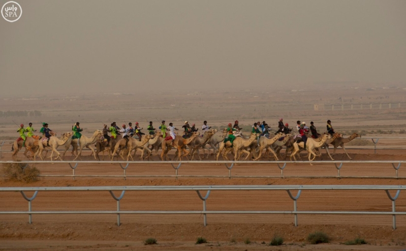 خادم الحرمين يرعى انطلاق المهرجان الثقافي41