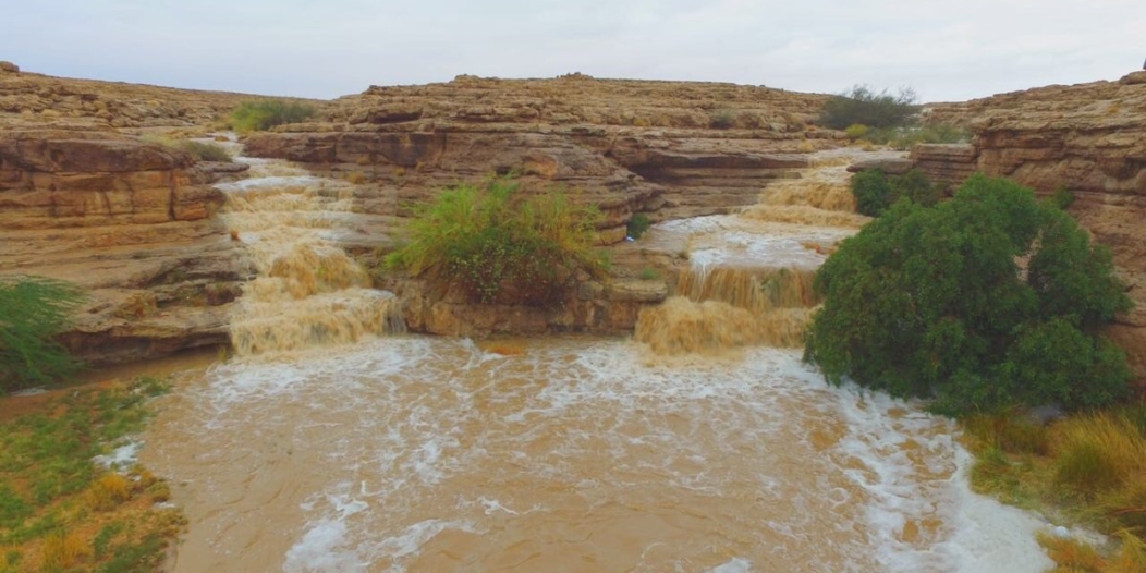 الارصاد : درجة الحرارة تحت الصفر الخميس واستمرار الأحوال ...