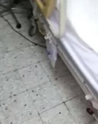 مدير مستشفى جدة المقال: “الصراصير” موجودة منذ 15 عاماً