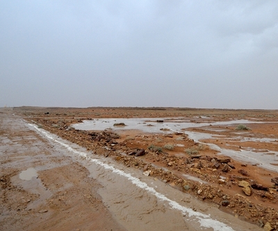 الأرصاد : استمرار فرص هطول الأمطار على المملكة