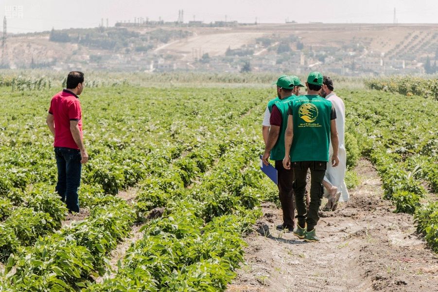 بالصور.. مركز الملك سلمان للإغاثة يواصل تمكين الأسر السورية في المشروعات الزراعية