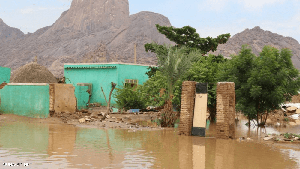 الشيكونغونيا يتفشى في كسلا السودانية وأكثر من 11 ألف مصاب بالمرض