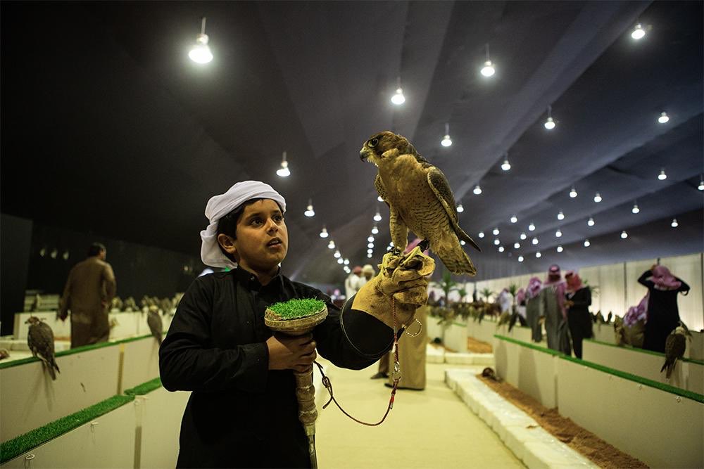 شاهد الصور.. انطلاق سباقات مهرجان الملك عبدالعزيز للصقور في يومه الأول