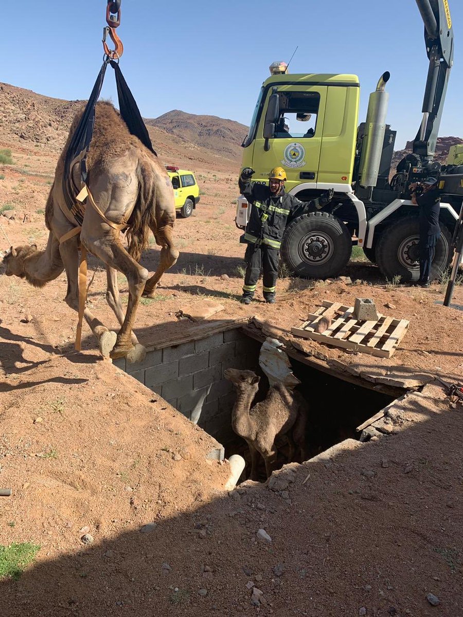 انتشال جمال سائبة سقطت في خزان أرضي بـ حقل