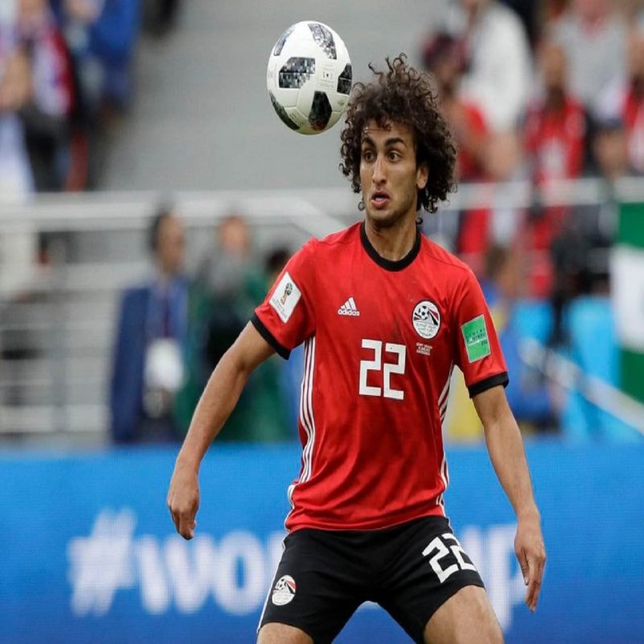 عمرو وردة Amr warda يعتذر.. ولاعبو الفراعنة يدعمونه