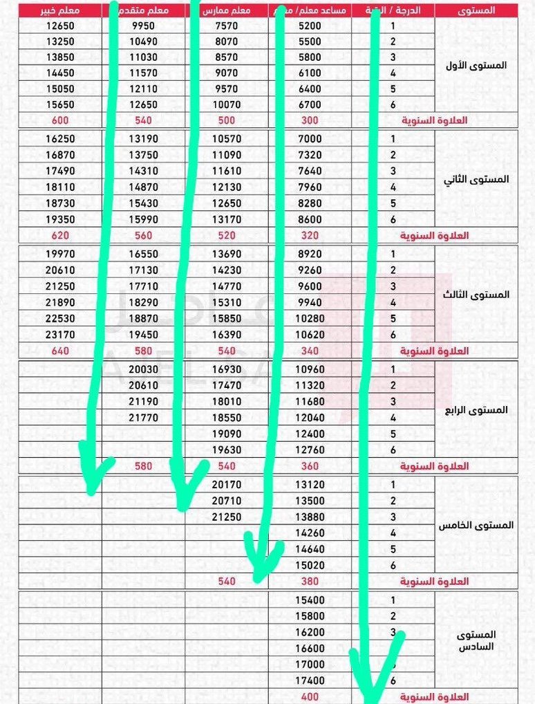 راتب معلم ممارس