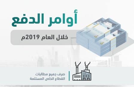 بالأرقام.. المالية تعلن تفاصيل أوامر الصرف لعام 2019