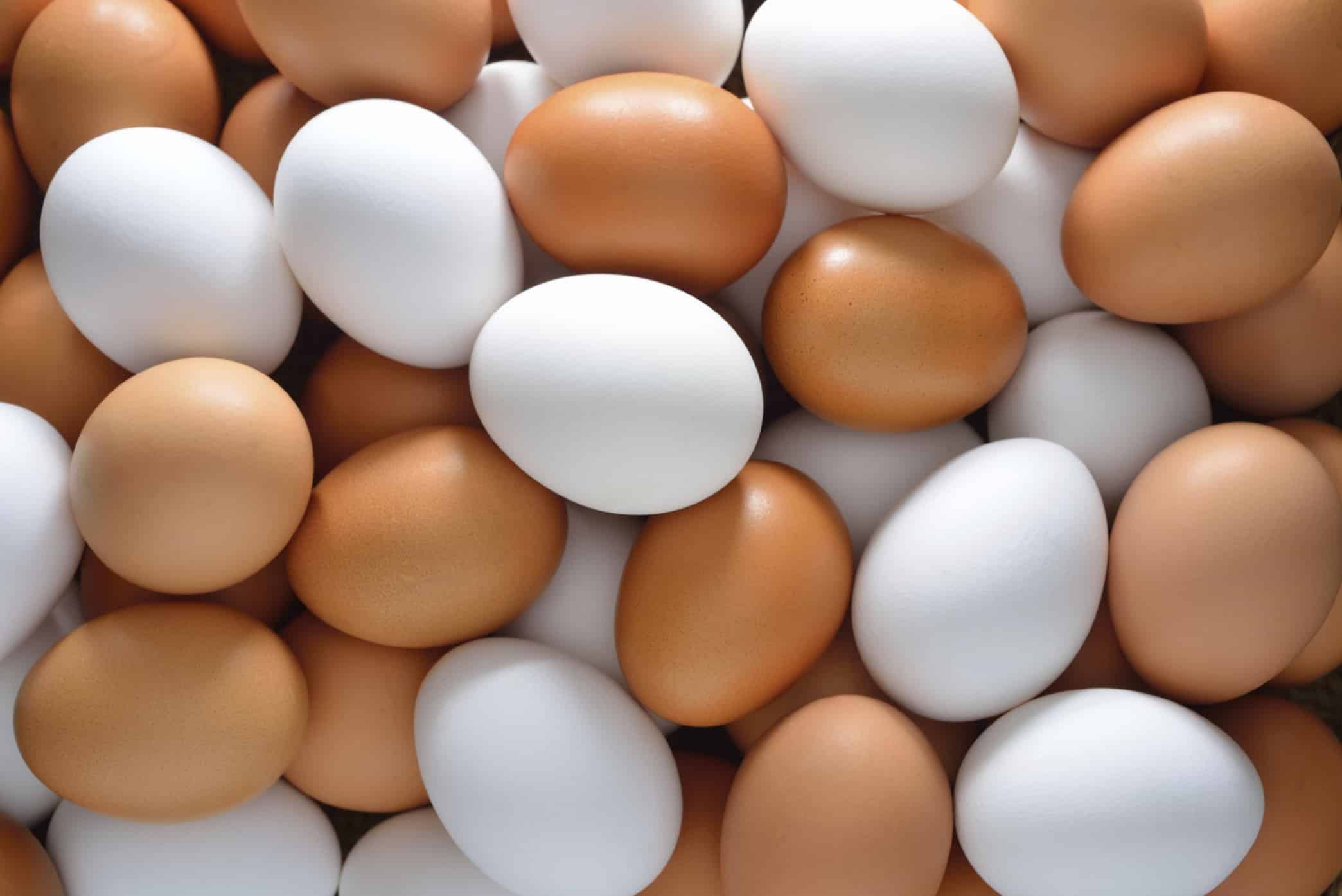 نصائح من الغذاء والدواء لضمان سلامة البيض والوقاية من الأمراض