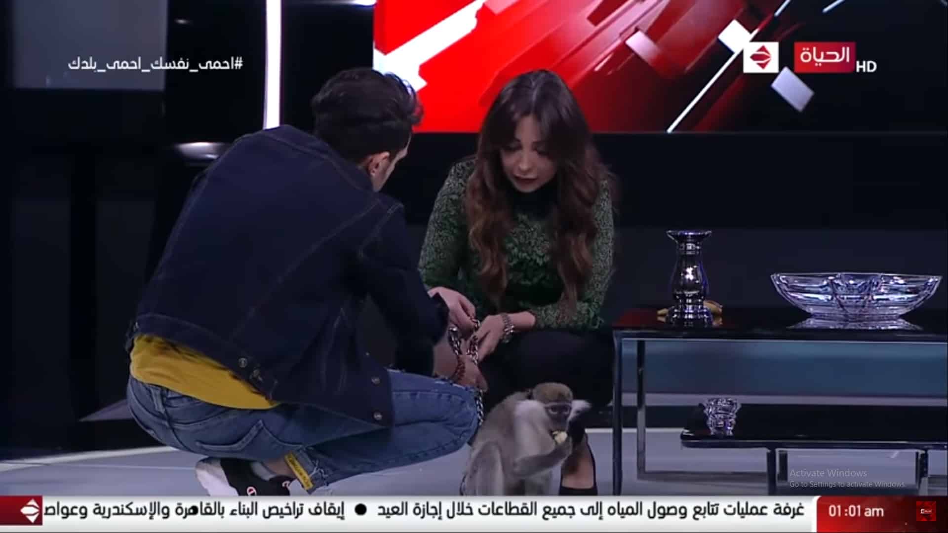 فيديو.. موقف محرج للإعلامية لبنى عسل بسبب نسناس !