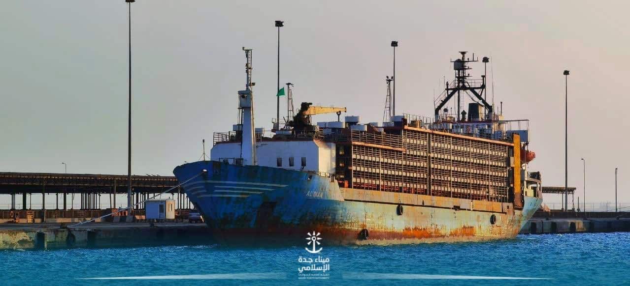 ميناء جدة يستقبل 63 ألف رأس من الماشية الحية
