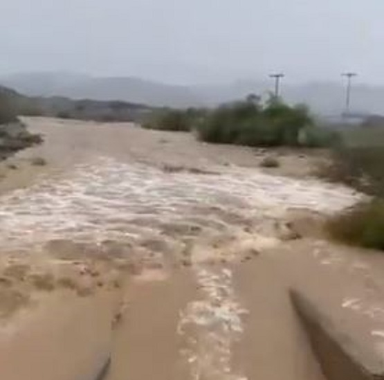 شاهد.. جريان سيول حداب الخيل شرق القنفذة