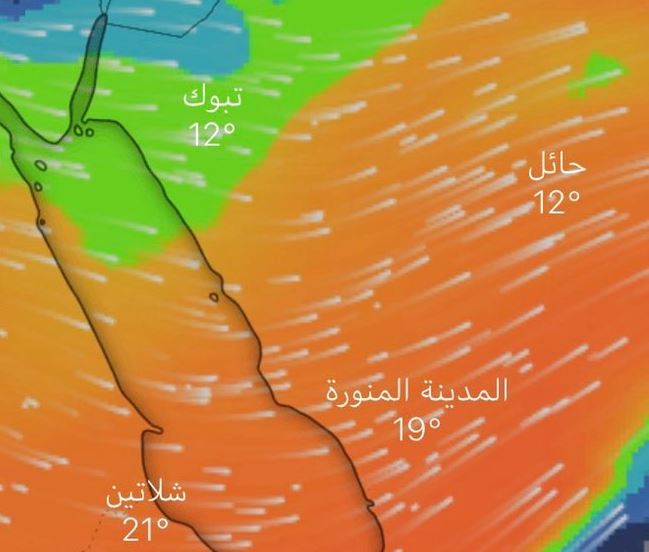 كتلة قطبية جديدة تصل تبوك الجمعة صحيفة المواطن الإلكترونية