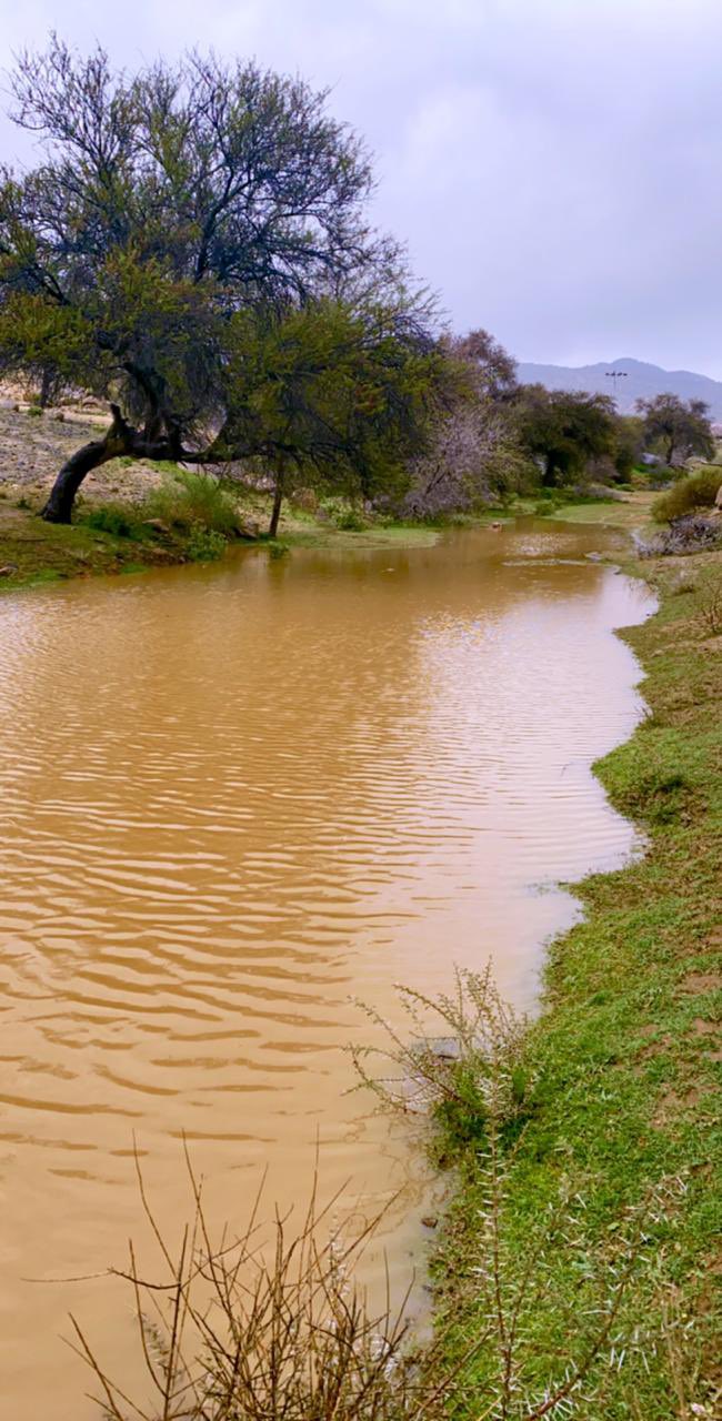 امطار الطائف