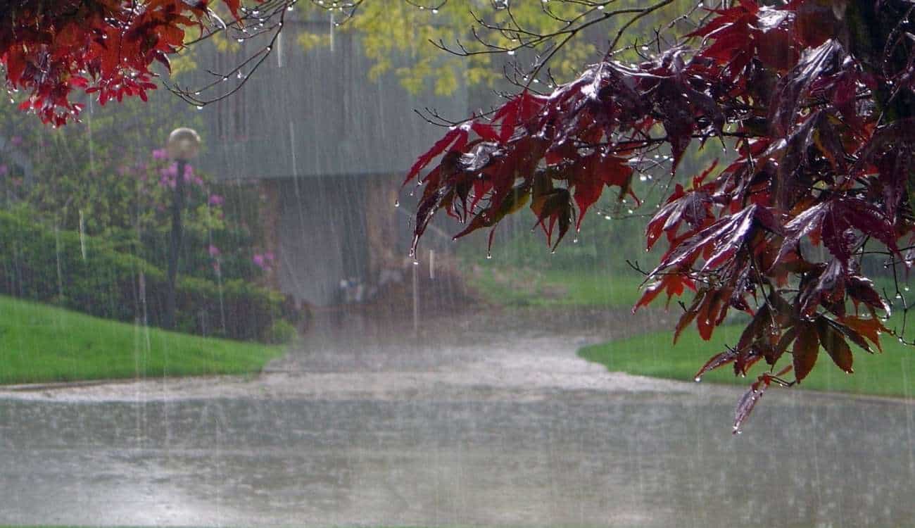 توقعات بـ أمطار رعدية اليوم على 7 مناطق