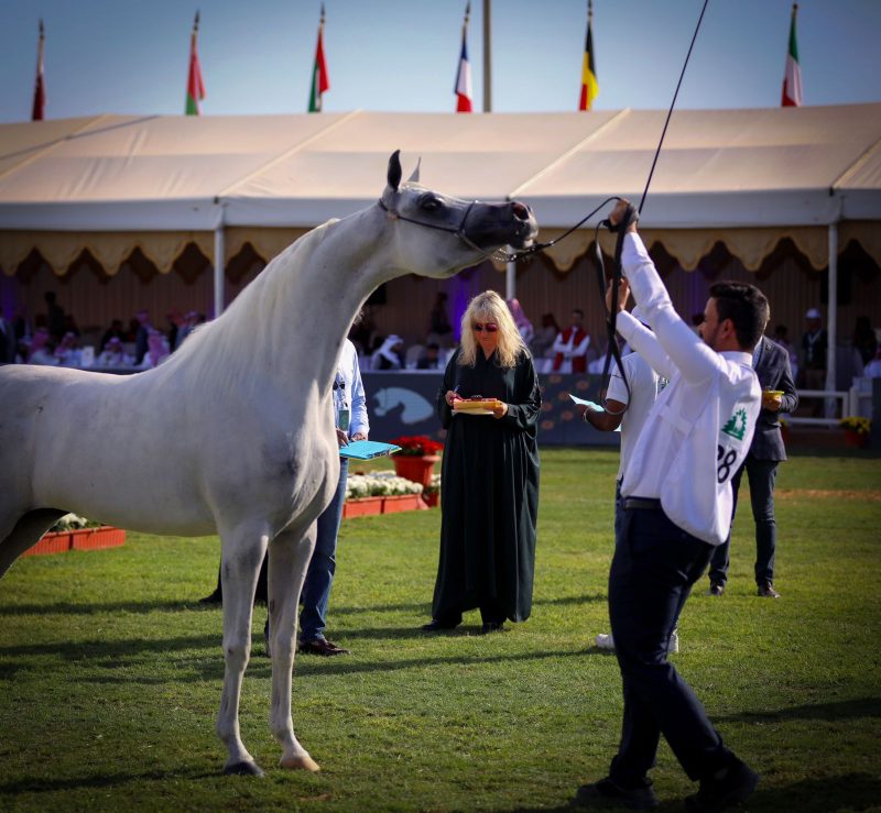 معرض جمال الخيل العربية