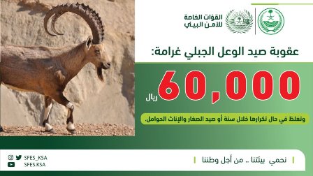 الأمن البيئي: عقوبة اصطياد الوعل الجبلي غرامة 60 ألف ريال