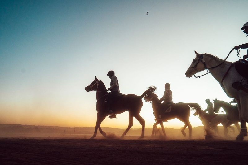 كأس خادم الحرمين الشريفين للقدرة والتحمل