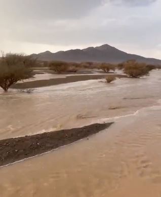 لحظة جريان السيول في الباحة بعد الأمطار الغزيرة