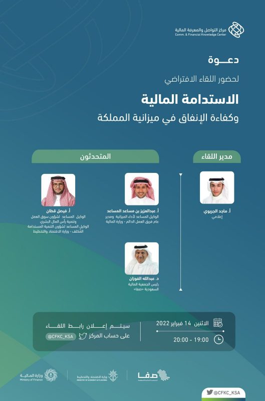 الاستدامة المالية