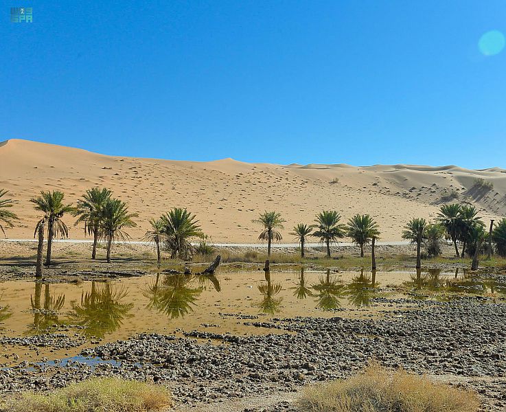 واحات المذنب وجهة عشاق رحلات البر