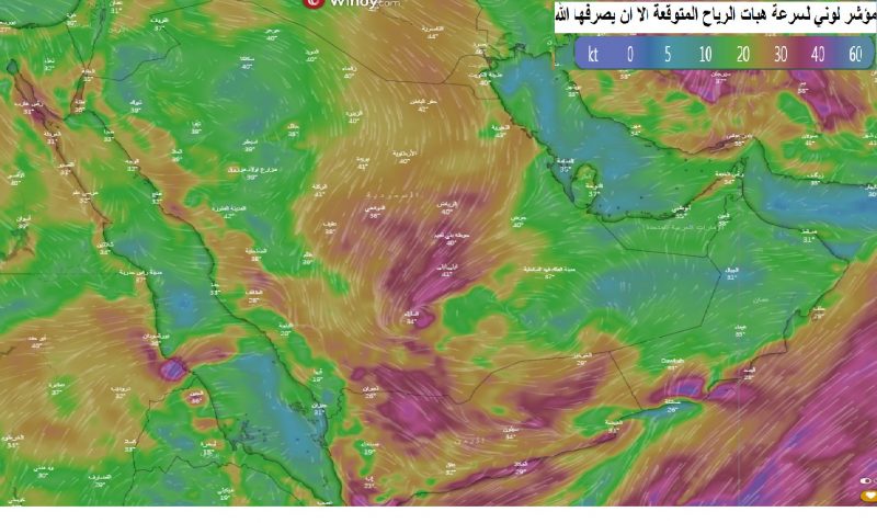 الحالة الممطرة