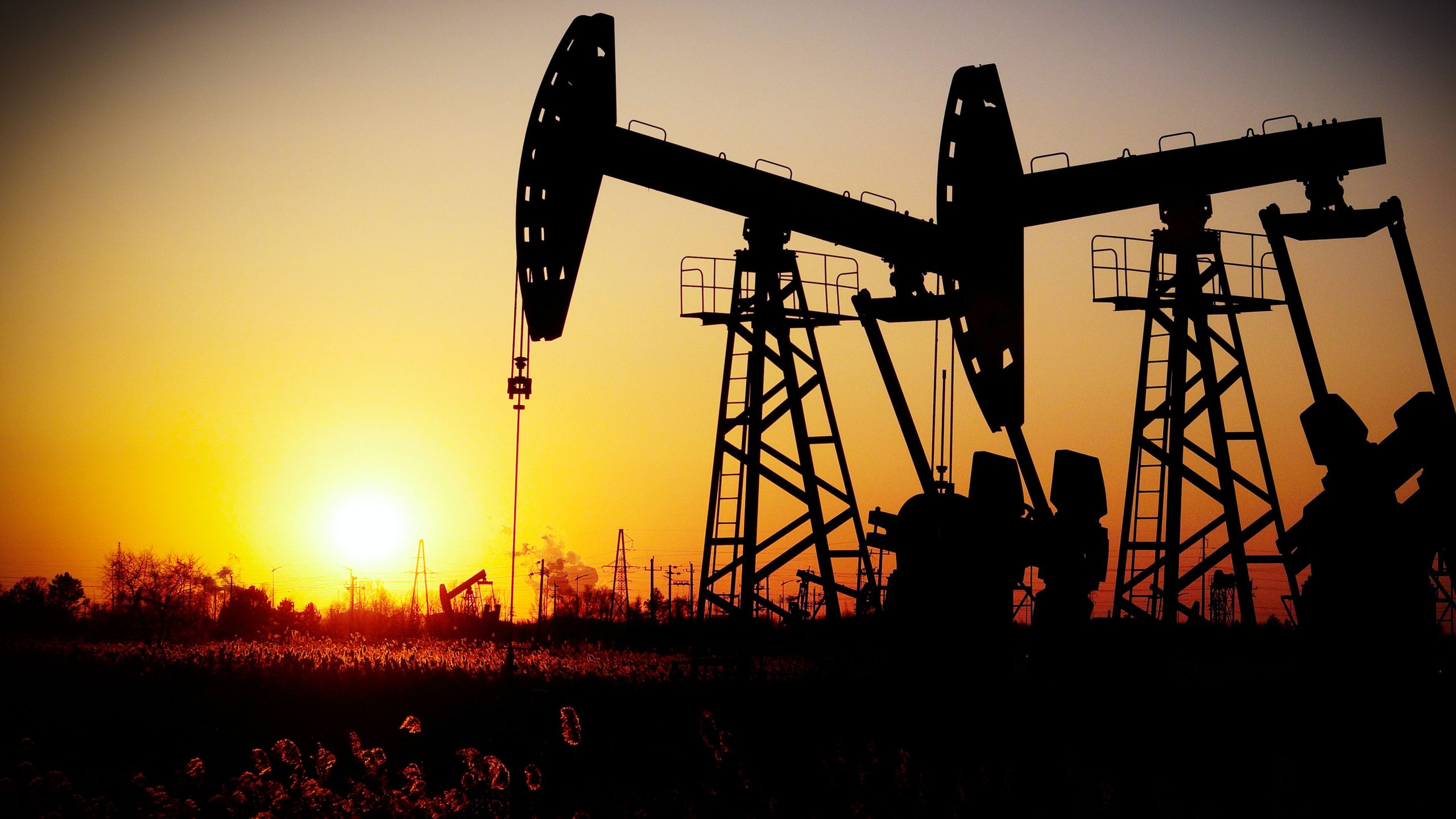 توقعات الخبراء بارتفاع أسعار النفط بنسبة 40%