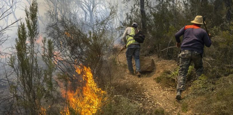 مصرع 3 من رجال الإطفاء بعد انقلاب سيارتهم وسط حريق غابة بالمغرب