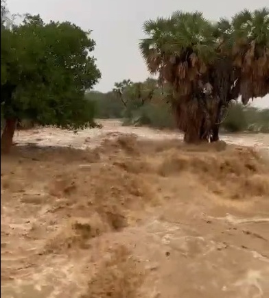 شاهد.. سيول عارمة بمركز الفطيحة في جازان