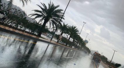 الأرصاد: أمطار غزيرة ورياح تحد الرؤية على الرياض ونجران