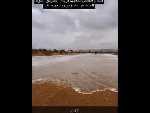 لقطات لـ سيول اليوم وتوقعات بانتهاء الحالة الممطرة الحادي عشر غدًا