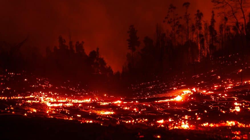 مقتل 23 شخصًا وإعلان حالة الكوارث بعد حرائق تشيلي