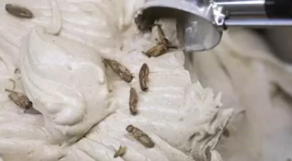متجر ألماني يصنع أول آيس كريم بنكهة الصراصير في العالم