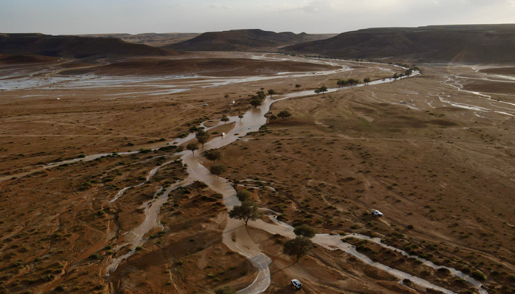 سيول شعبة الحسي ترسم لوحة جمالية غرب المجمعة