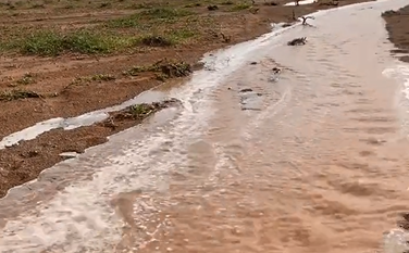 لقطات لجريان السيول نتيجة أمطار القصيم