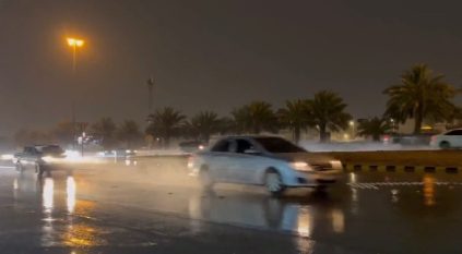 كميات الأمطار في السعودية تفوق أوروبا وكندا وروسيا