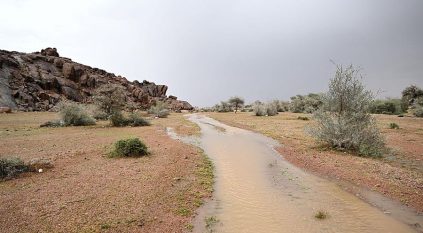 أمطار غزيرة على حائل تسيل الأودية والشعاب