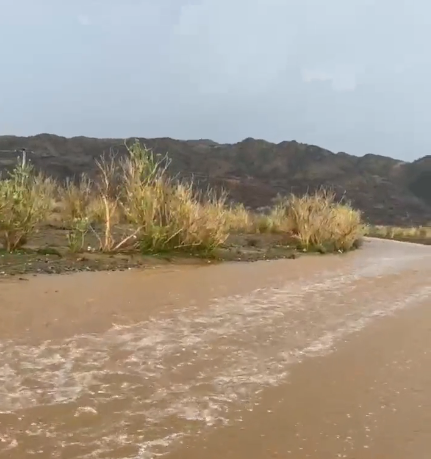 لقطات لجريان وتدفق السيول شمال غرب محايل عسير