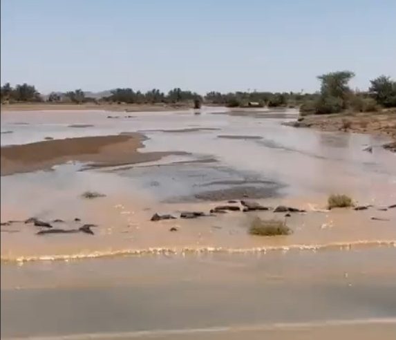 لقطات لجريان وادي الرمة جنوب حايل