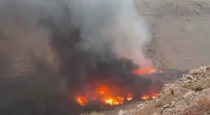 حريق في حشائش بالمدينة المنورة ولا إصابات