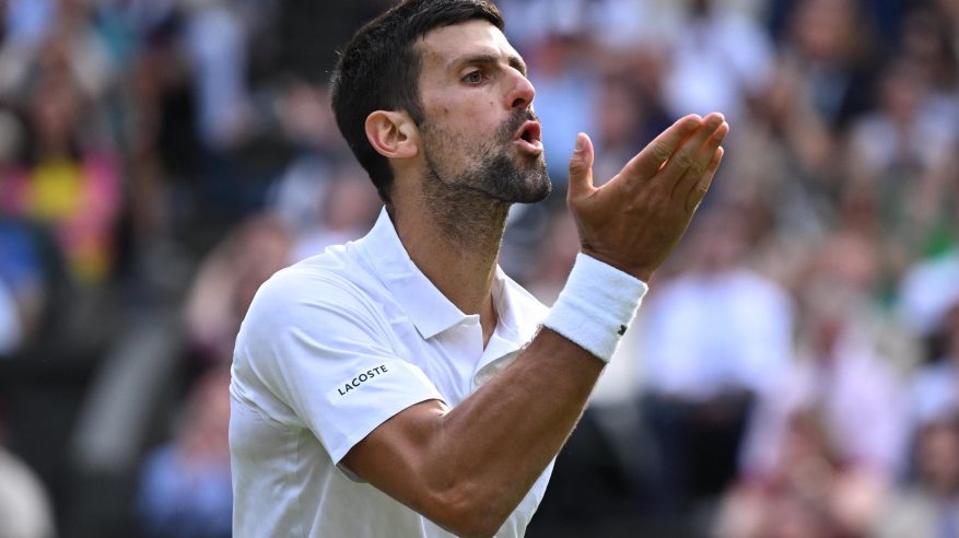 Djokovic: ألكاراز يتفوق على فيدرر ونادال