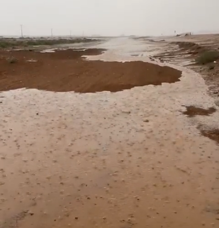 بالفيديو.. أمطار غزيرة وسيول جنوب حائل