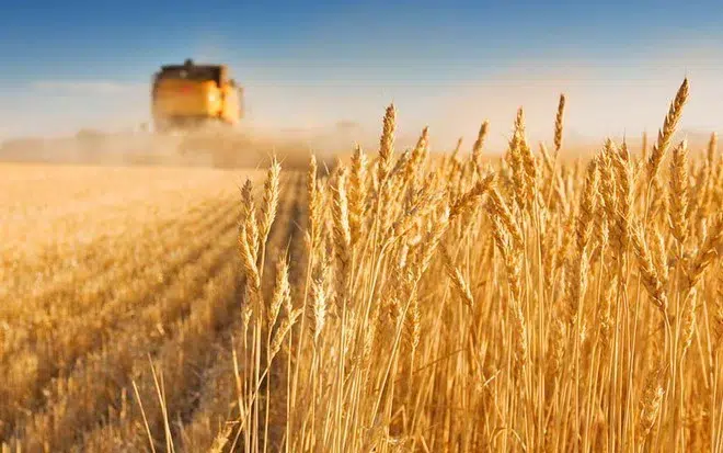“آل منيف للتجارة” توقع عقدًا مع الجوف الزراعية بـ 7.6 مليون ريال