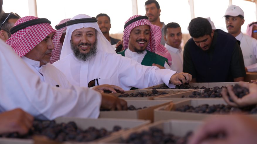 مزاد مهرجان العلا للتمور تظاهرة يقصدها المستثمرون من أنحاء العالم