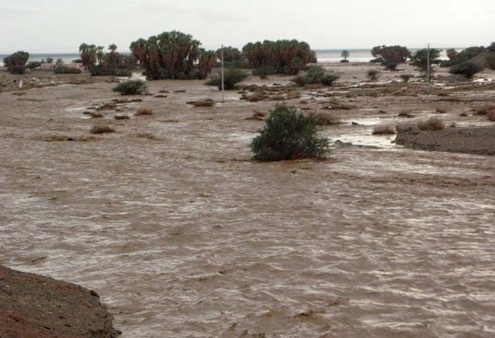 أمطار غزيرة في المدينة وسيول غرب تبوك