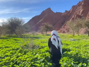 لقطات لجمال جبال أجا وسط البساط الأخضر