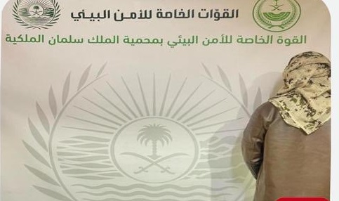 ضبط مواطن دخل منطقة الطبيق بلا تصريح وشرع بالصيد في محمية الملك سلمان