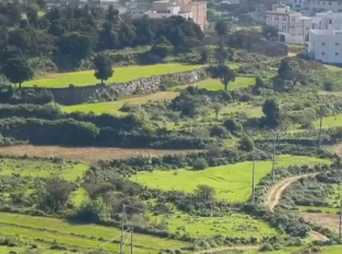 متنزه جبل مرير بالنماص يكتسي بأشجار العرعر المعمرة