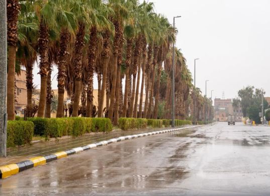 المدني يحذر: أمطار رعدية وسيول على جازان وعسير والباحة