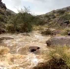 لقطات لجريان السيول في عسير بعد الأمطار الغزيرة