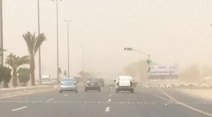 الأرصاد : استمرار موجة الغبار على 4 مناطق حتى الخميس